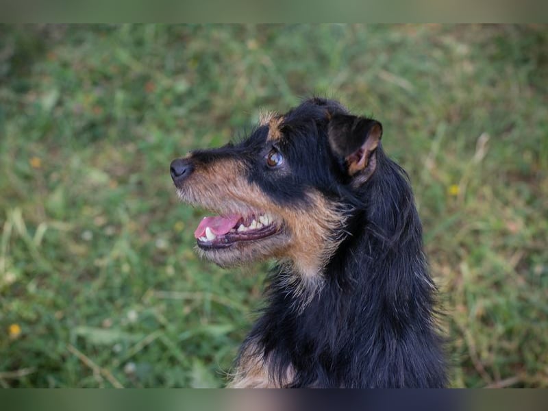 Eloise: Sucht ein Zuhause