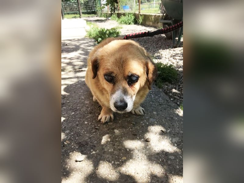 Benedict: Kleiner Kämpfer braucht Liebe