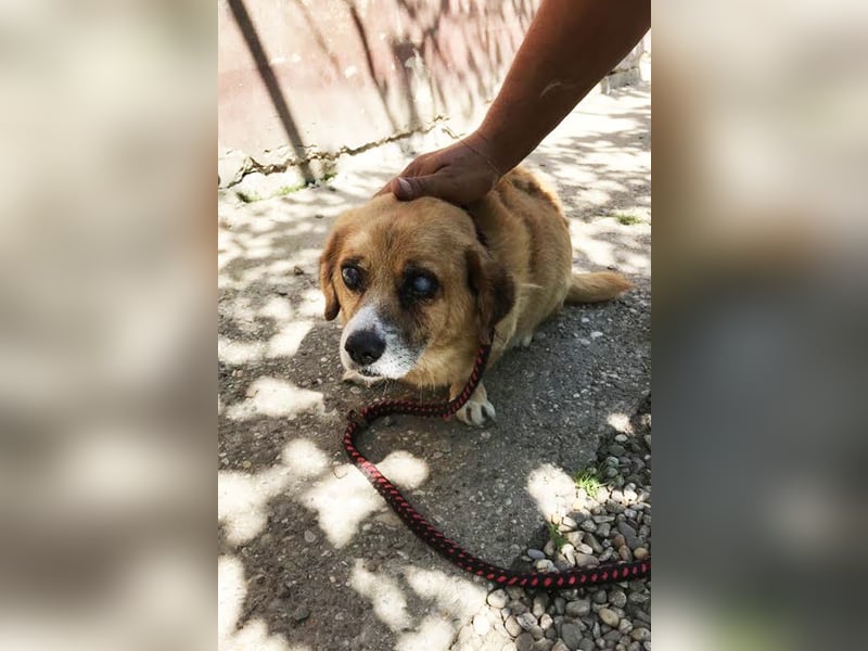 Benedict: Kleiner Kämpfer braucht Liebe