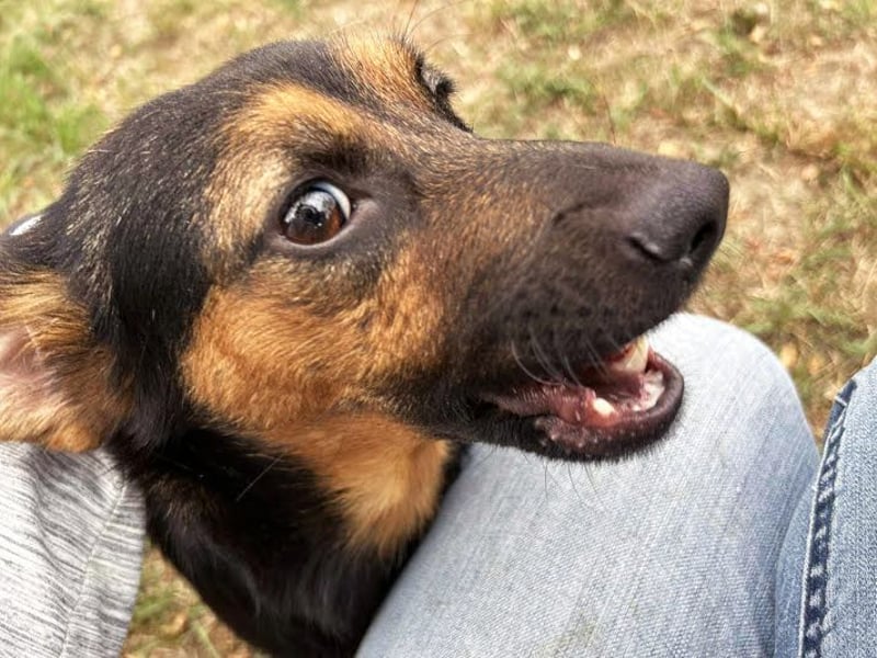 Averna: Zarte kleine Seele