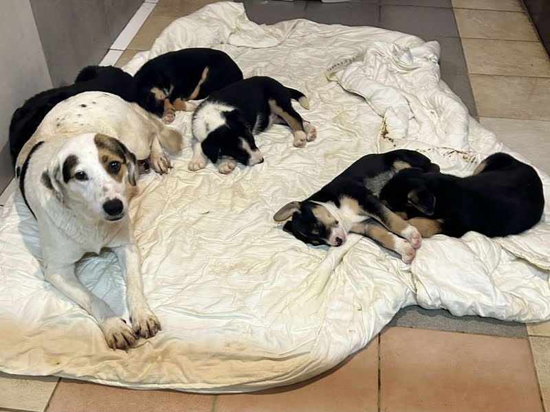 Mirco sucht seine Familie