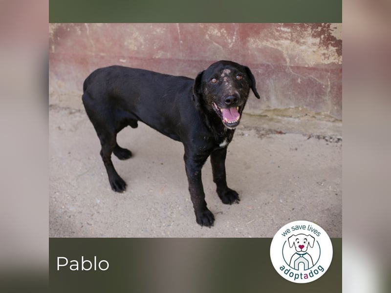 Pablo: Sucht seinen sicheren Hafen