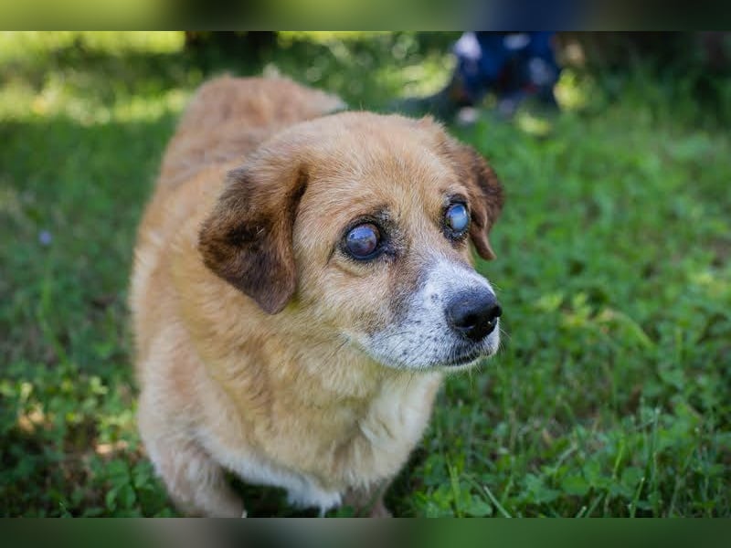 Benedict: Kleiner Kämpfer braucht Liebe