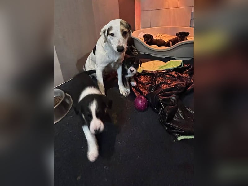 Mirco sucht seine Familie