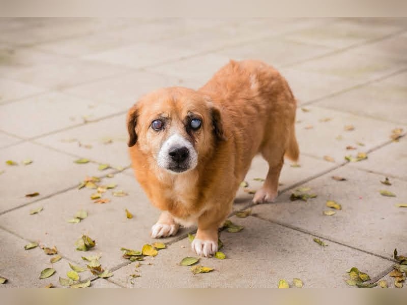 Benedict: Kleiner Kämpfer braucht Liebe