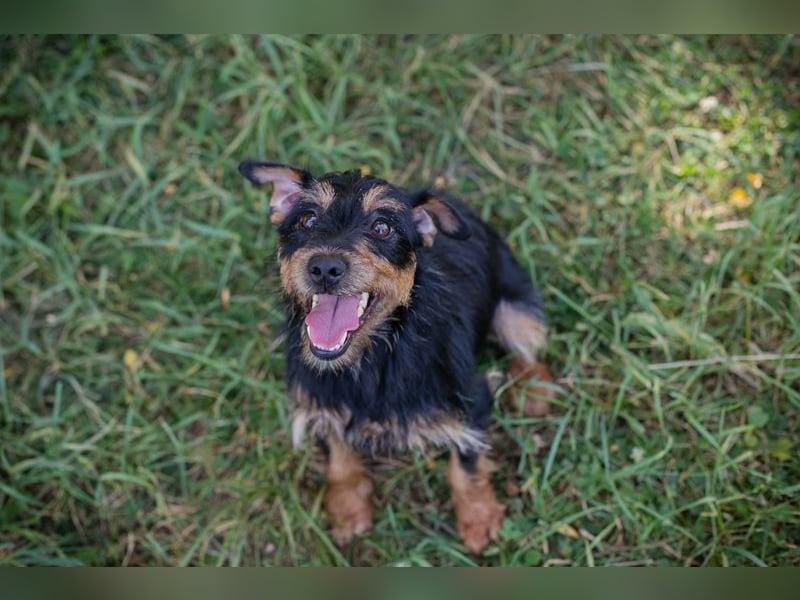 Eloise: Sucht ein Zuhause