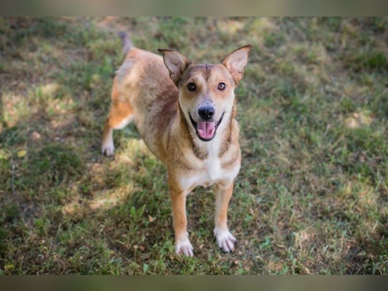 Evita sucht ein Zuhause