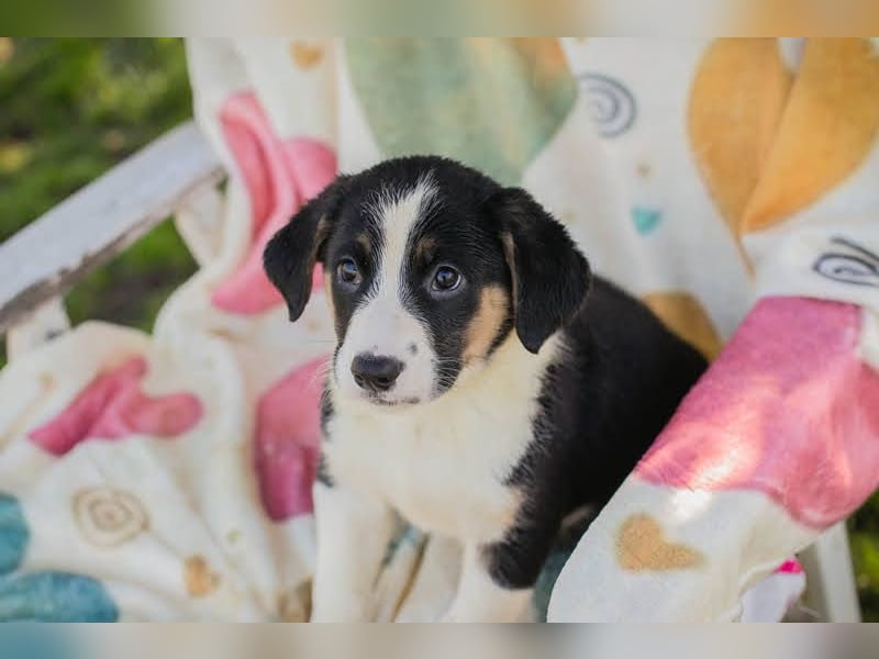 Mirco sucht seine Familie