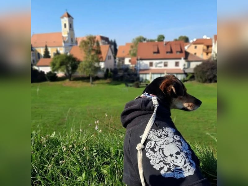 Roby: Einschränkungen? Nein danke!
