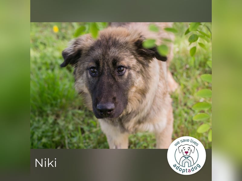 Niki kämpft sich ins Leben