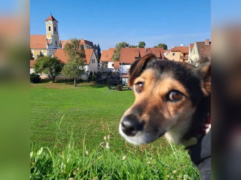 Roby: Einschränkungen? Nein danke!