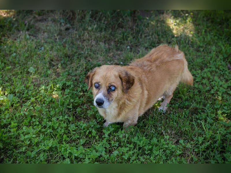 Benedict: Kleiner Kämpfer braucht Liebe