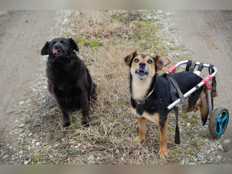 Roby: Einschränkungen? Nein danke!