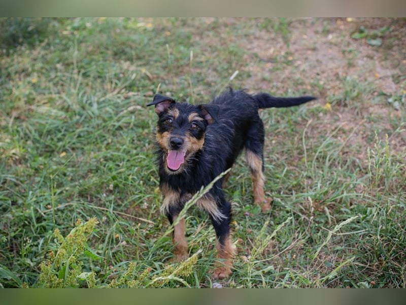 Eloise: Sucht ein Zuhause