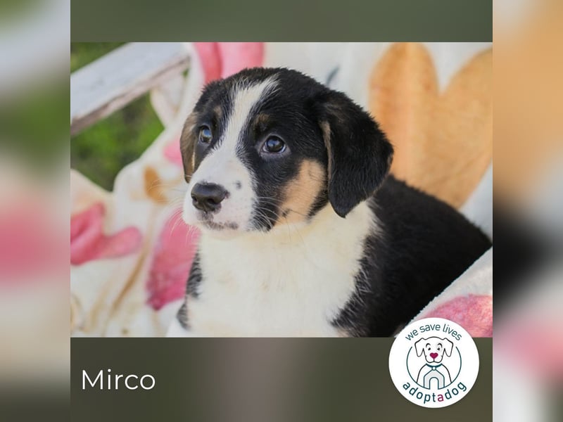 Mirco sucht seine Familie
