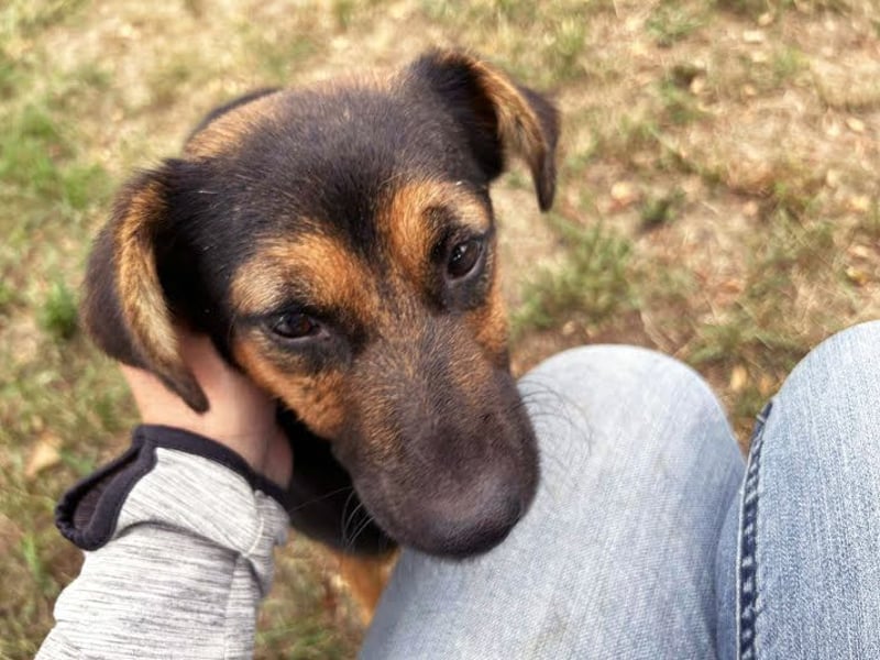 Averna: Zarte kleine Seele