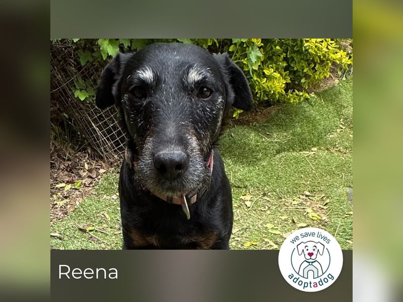 Reena: Neustart! Los geht’s!