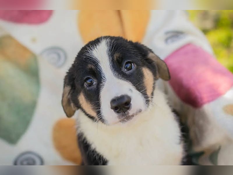 Mirco sucht seine Familie