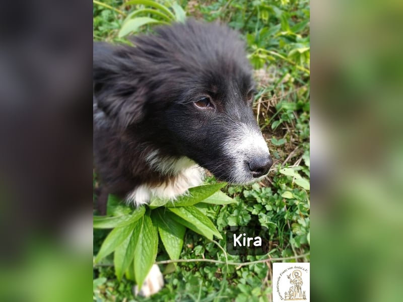 Kira – wenn Leben gerade erst richtig losgeht!