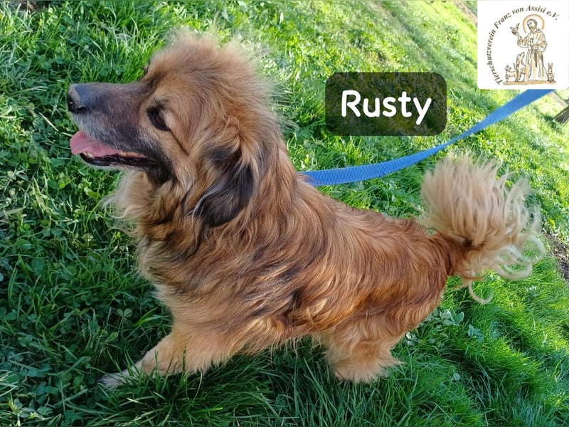 Rusty – Profi im Glücklichsein!