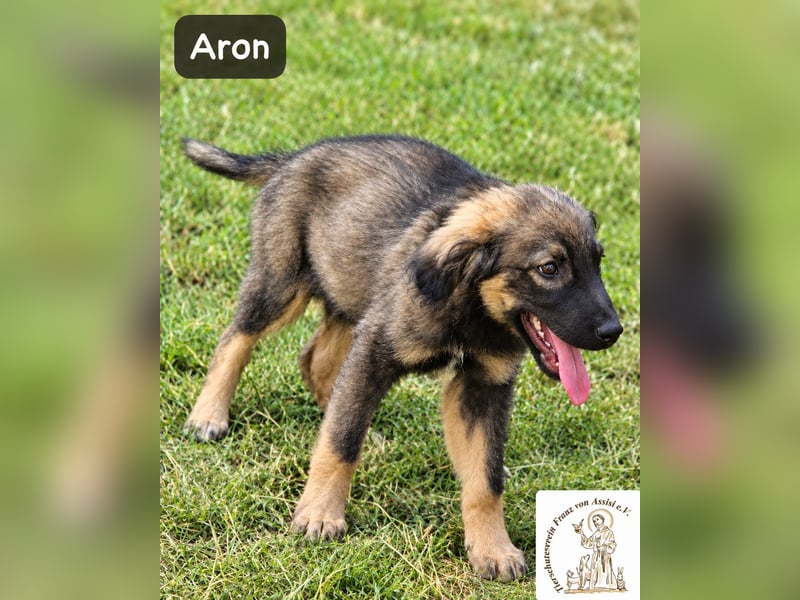 Aron – bereit für sein großes Abenteuer!