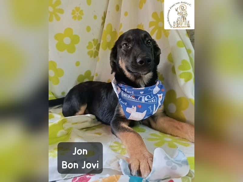 Jon Bon Jovi – voller Flausen, voller Leben!