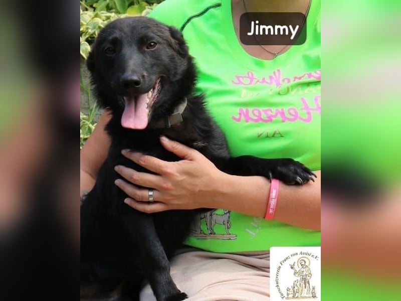 Jimmy – Aufgeben? Kam für ihn nie infrage!