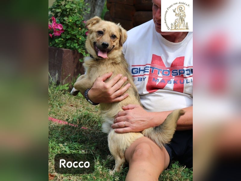Rocco – das Leben wartet nicht, es will entdeckt werden!