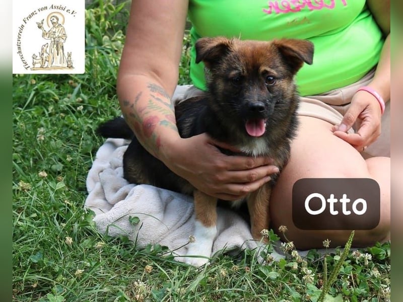 Otto – Das Beste beginnt oft mit einem kleinen Abenteuer!