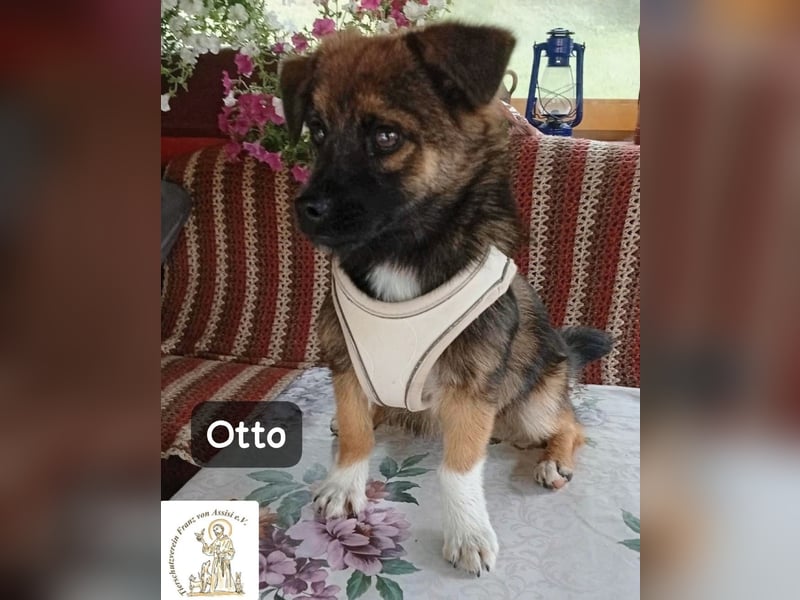 Otto – Das Beste beginnt oft mit einem kleinen Abenteuer!