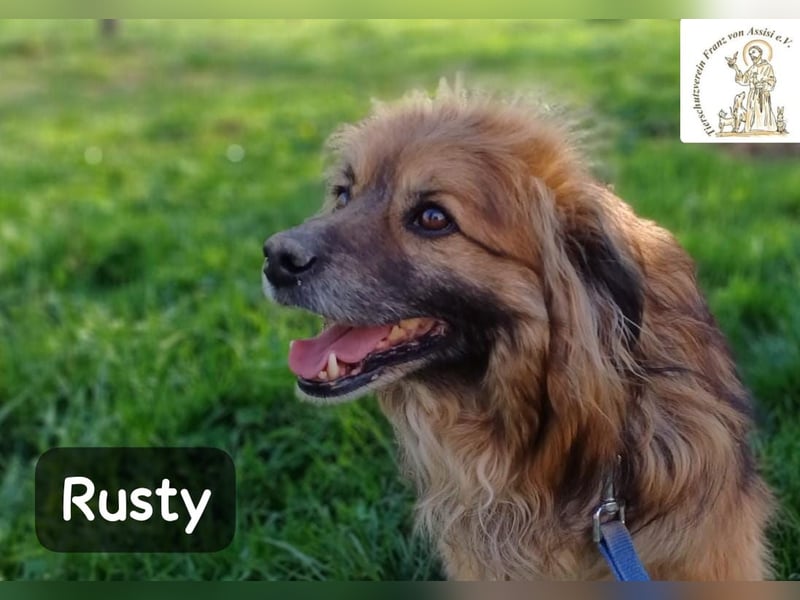 Rusty – Profi im Glücklichsein!