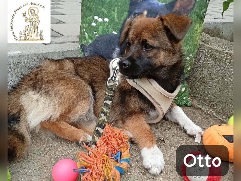 Otto – Das Beste beginnt oft mit einem kleinen Abenteuer!