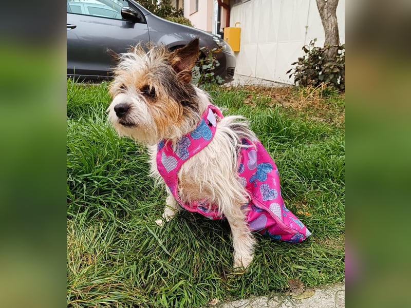 ❤️ Fifi, zauberhaftes Handicap Mädchen