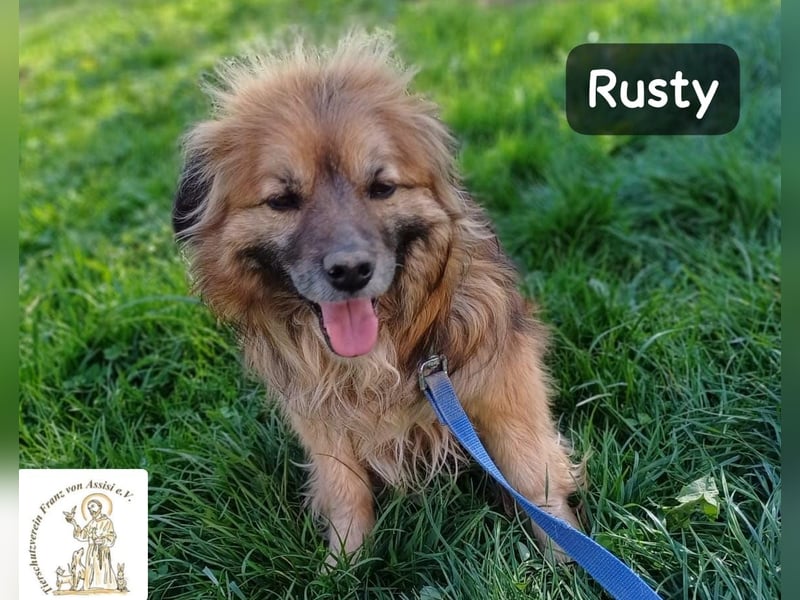 Rusty – Profi im Glücklichsein!