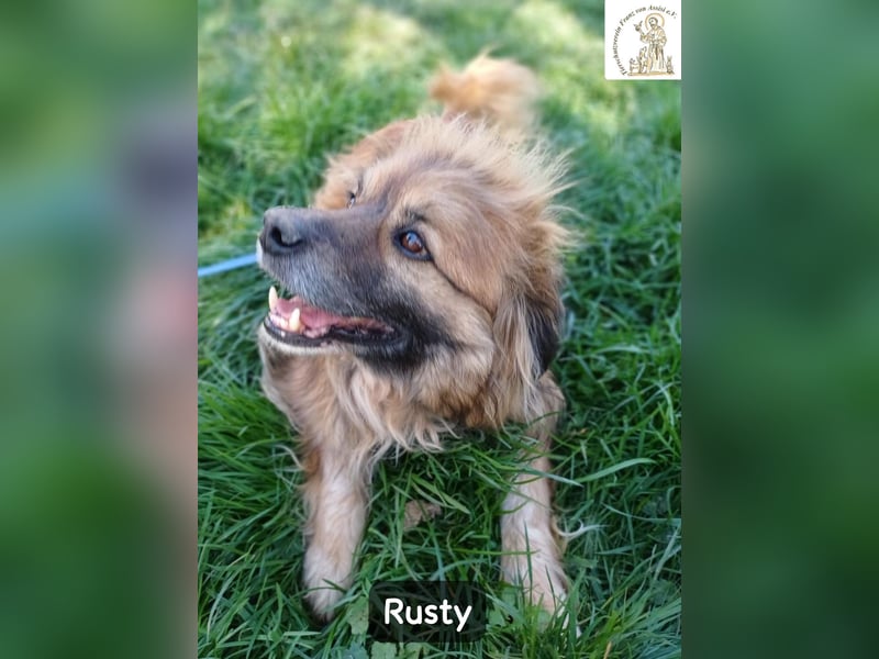 Rusty – Profi im Glücklichsein!