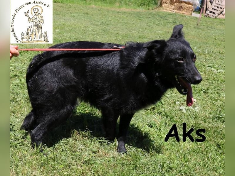 Aks – Schritt für Schritt ins große Glück