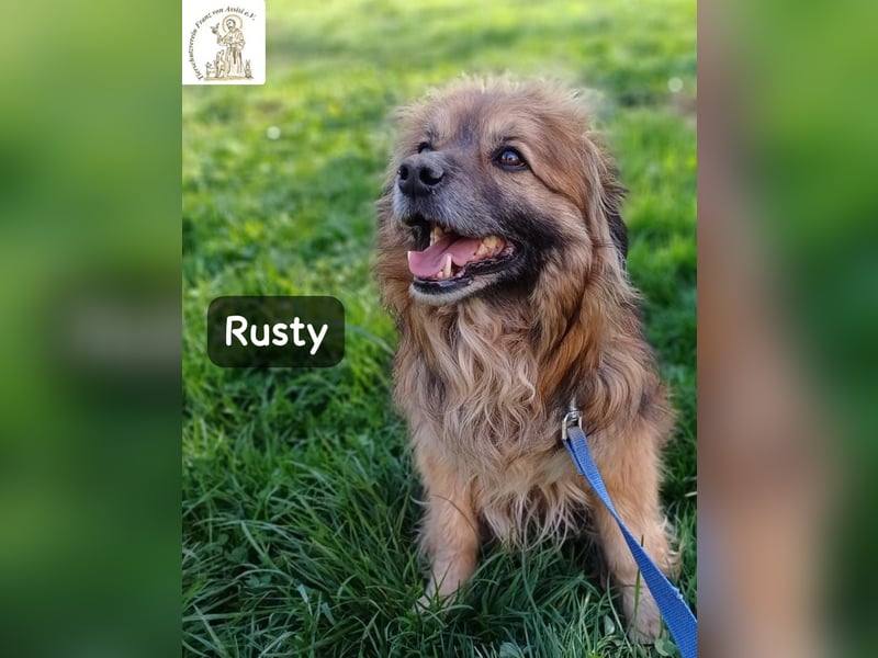 Rusty – Profi im Glücklichsein!