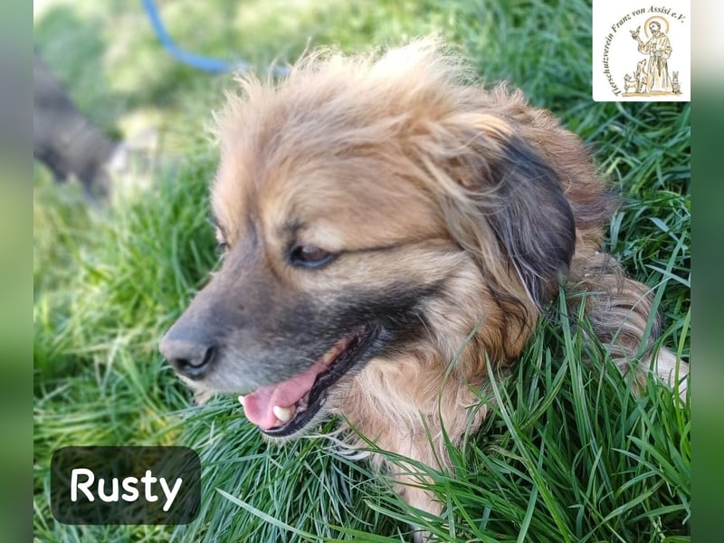 Rusty – Profi im Glücklichsein!