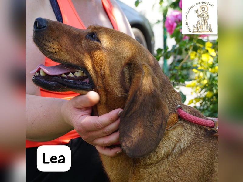 Lea – Bringt keine wilden Abenteuer mit, sondern ein Stück Geborgenheit!