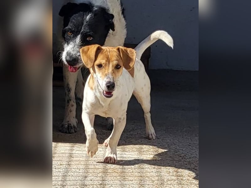 CHUPA ❤️ kleiner Schatz sucht Menschen mit Herz