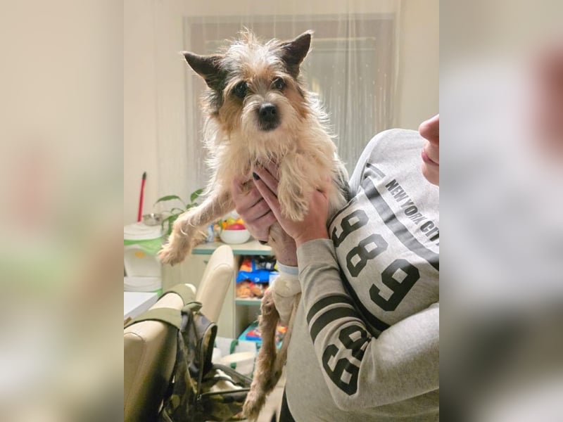 ❤️ Fifi, zauberhaftes Handicap Mädchen