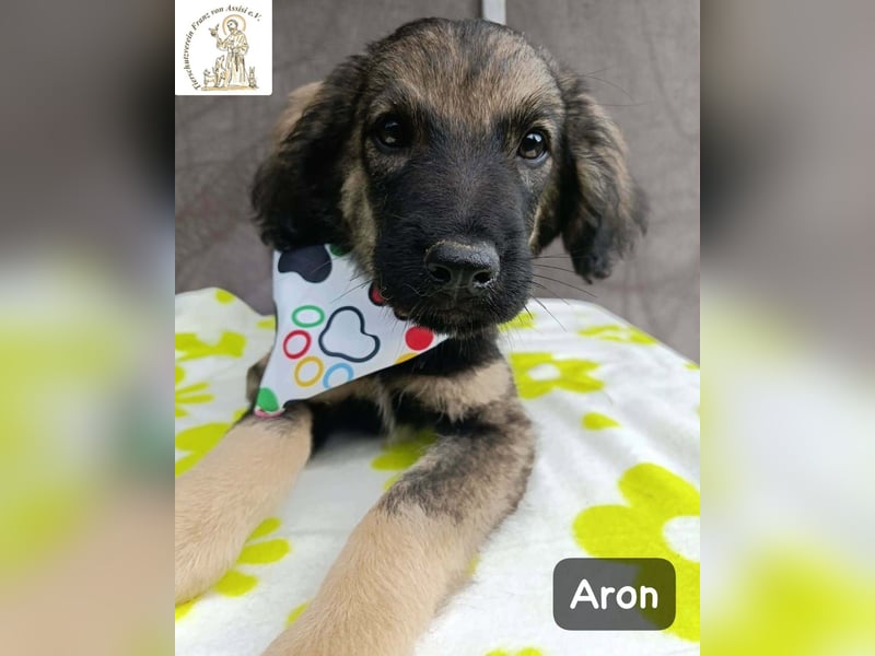 Aron – bereit für sein großes Abenteuer!