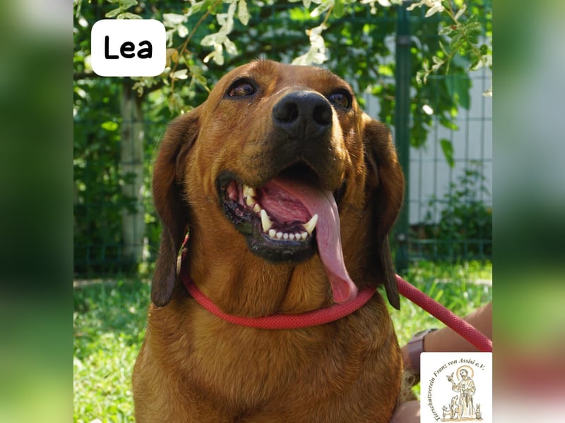 Lea – Bringt keine wilden Abenteuer mit, sondern ein Stück Geborgenheit!