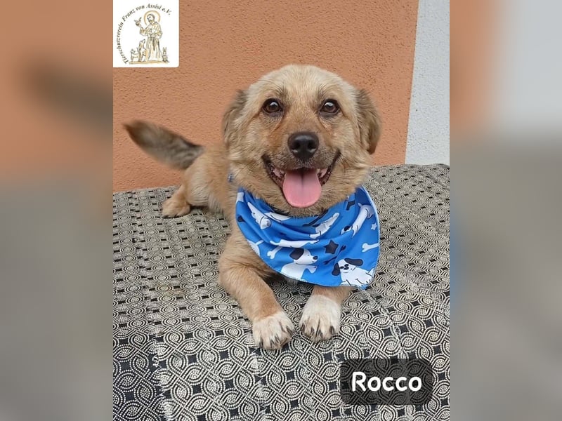 Rocco – das Leben wartet nicht, es will entdeckt werden!
