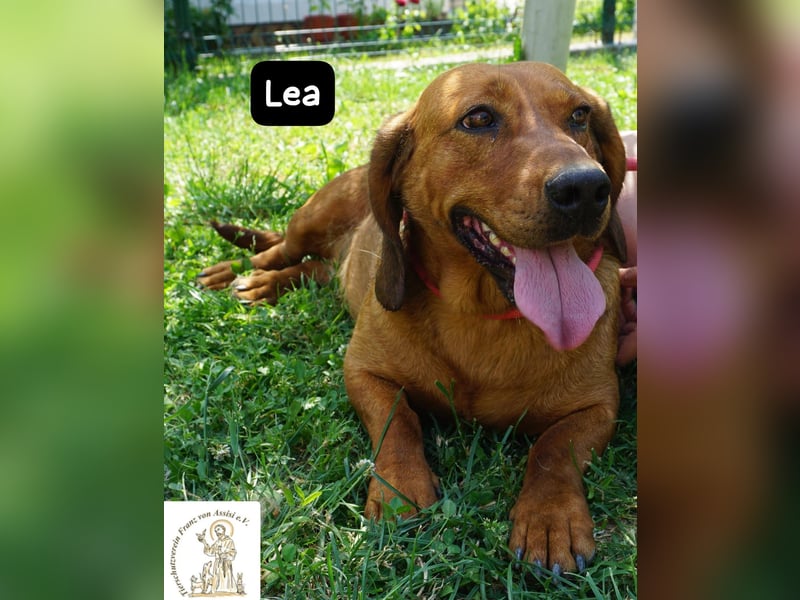 Lea – Bringt keine wilden Abenteuer mit, sondern ein Stück Geborgenheit!