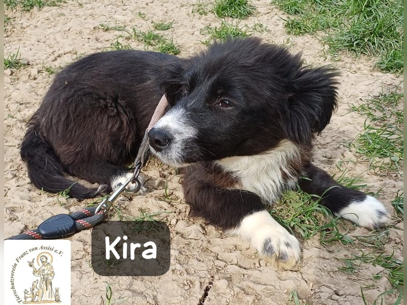 Kira – wenn Leben gerade erst richtig losgeht!