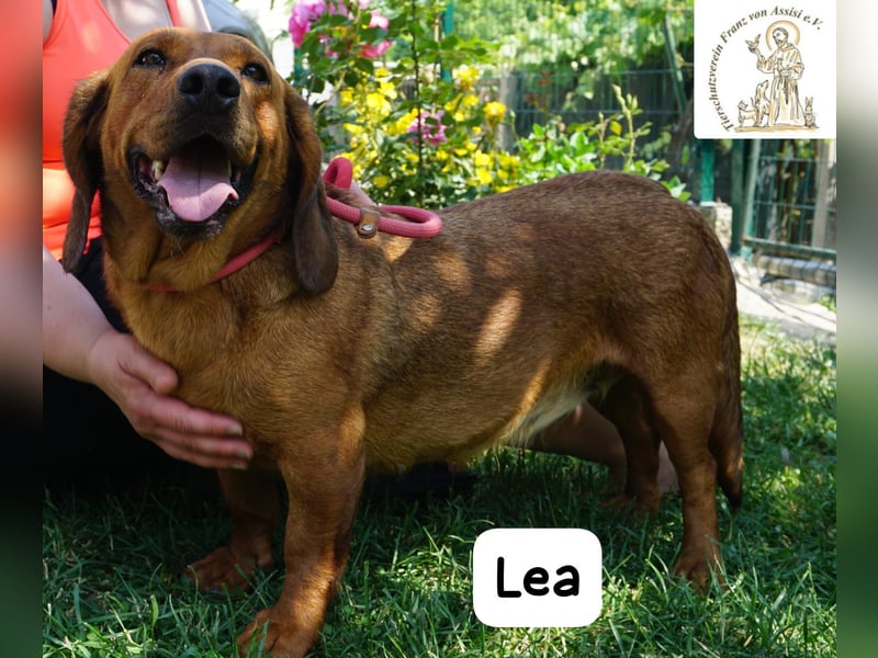 Lea – Bringt keine wilden Abenteuer mit, sondern ein Stück Geborgenheit!
