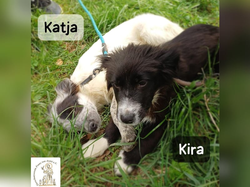 Kira – wenn Leben gerade erst richtig losgeht!