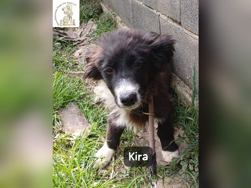 Kira – wenn Leben gerade erst richtig losgeht!