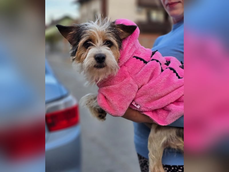 ❤️ Fifi, zauberhaftes Handicap Mädchen